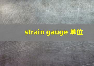 strain gauge 单位